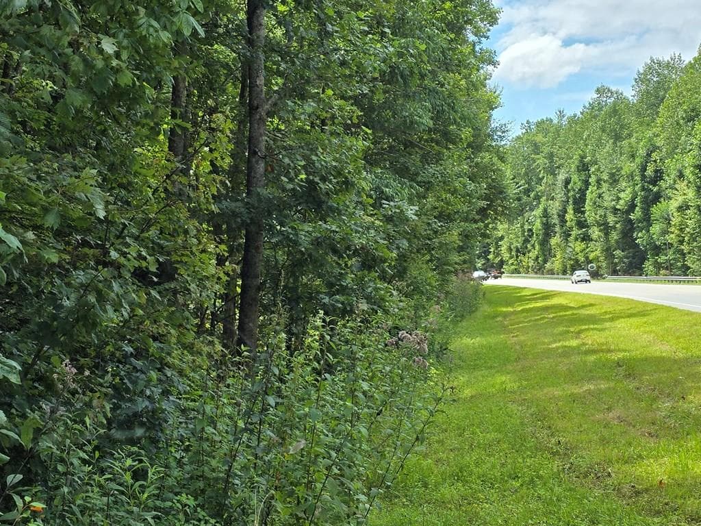 5.054 ac E Hwy 64, Hayesville NC 28904 - Primary photo