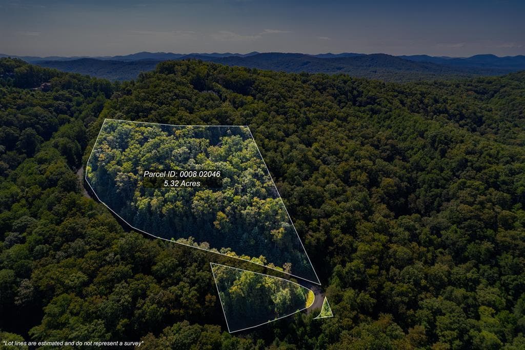 0 Dusty Danno Trail, Mineral Bluff GA 30559 - Photo
