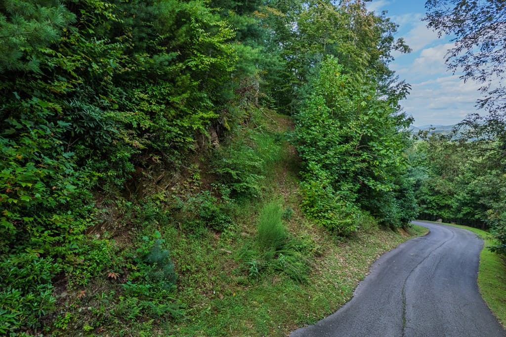 0 Dusty Danno Trail, Mineral Bluff GA 30559 - Photo