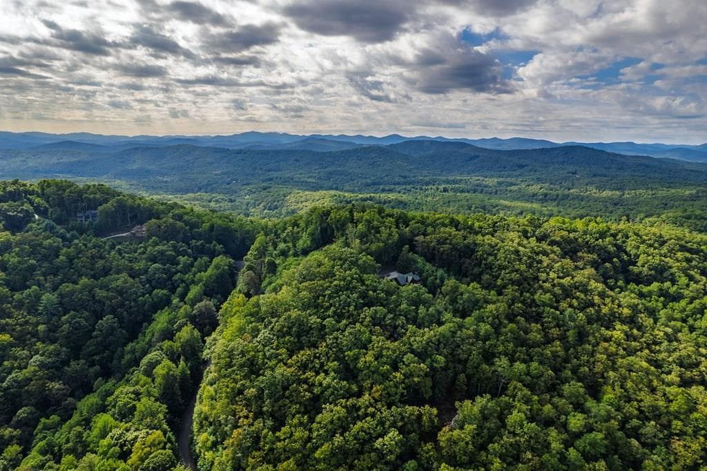 0 Dusty Danno Trail, Mineral Bluff GA 30559 - Photo
