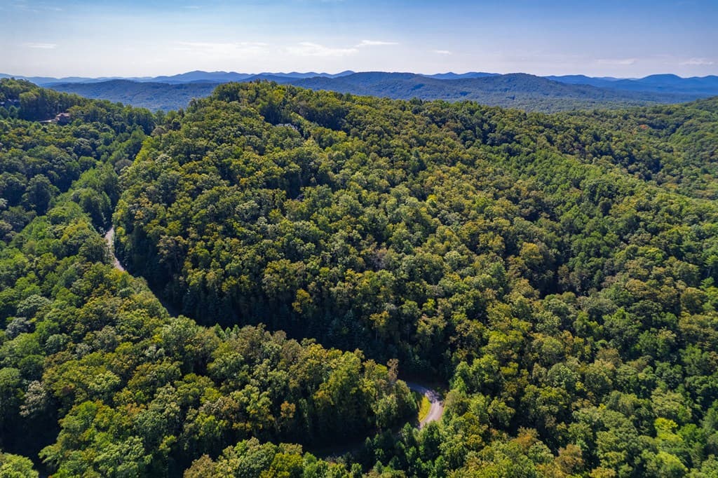 0 Dusty Danno Trail, Mineral Bluff GA 30559 - Photo