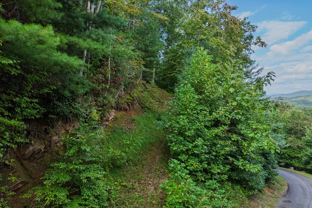 0 Dusty Danno Trail, Mineral Bluff GA 30559 - Photo