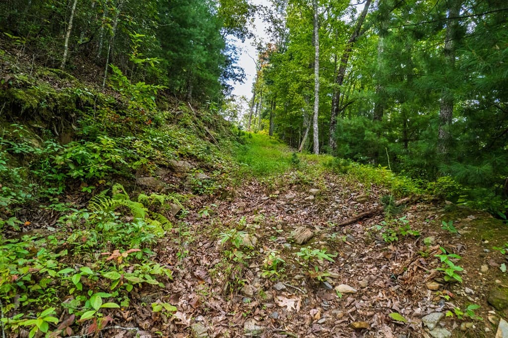 0 Dusty Danno Trail, Mineral Bluff GA 30559 - Photo
