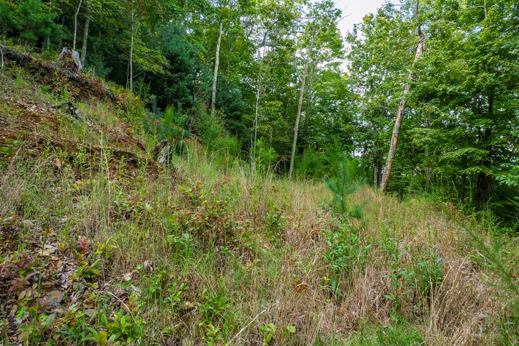 0 Dusty Danno Trail, Mineral Bluff GA 30559 - Photo