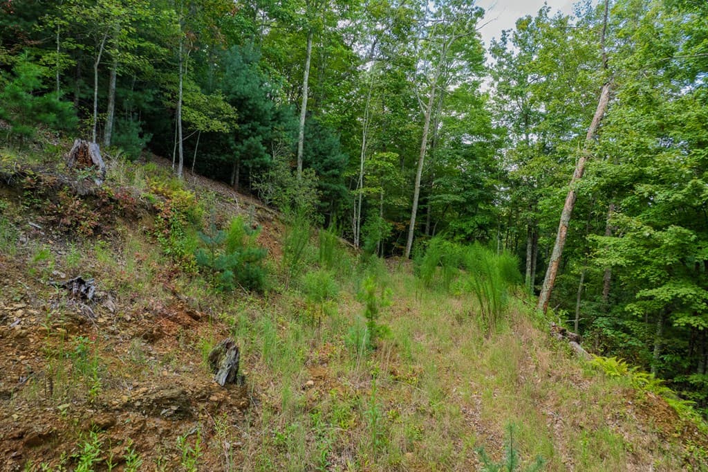 0 Dusty Danno Trail, Mineral Bluff GA 30559 - Photo