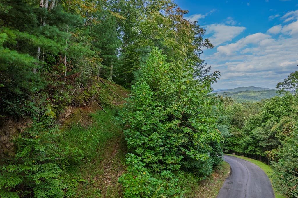 0 Dusty Danno Trail, Mineral Bluff GA 30559 - Photo