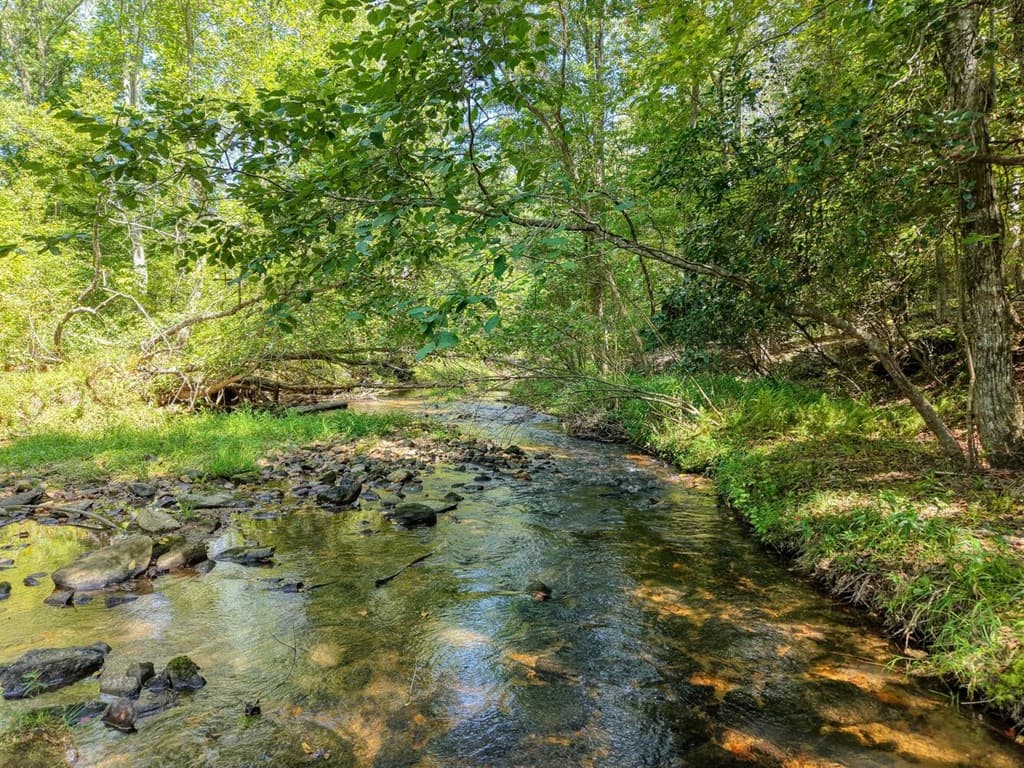 330 Coosa Run, Blairsville GA 30512 - Photo
