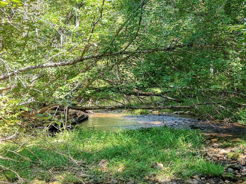 330 Coosa Run, Blairsville GA 30512 - Photo
