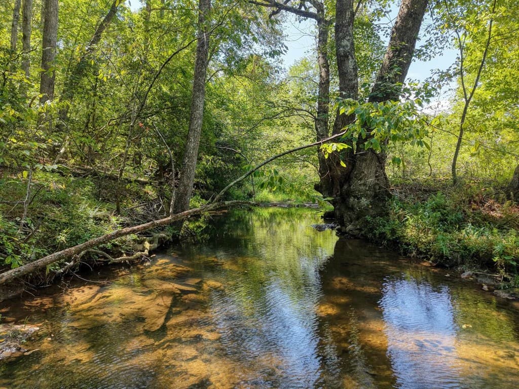 330 Coosa Run, Blairsville GA 30512 - Photo