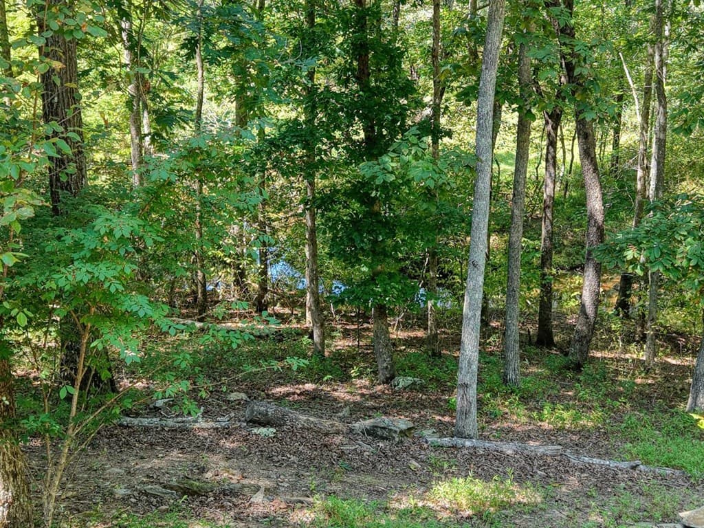 330 Coosa Run, Blairsville GA 30512 - Photo