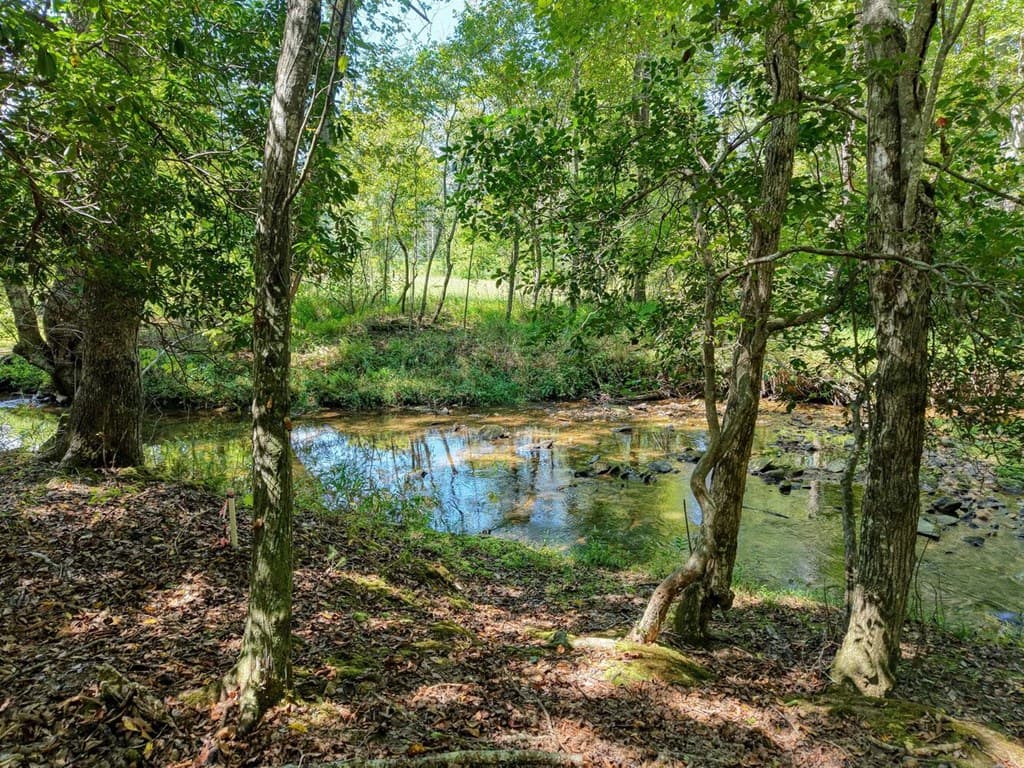 330 Coosa Run, Blairsville GA 30512 - Photo