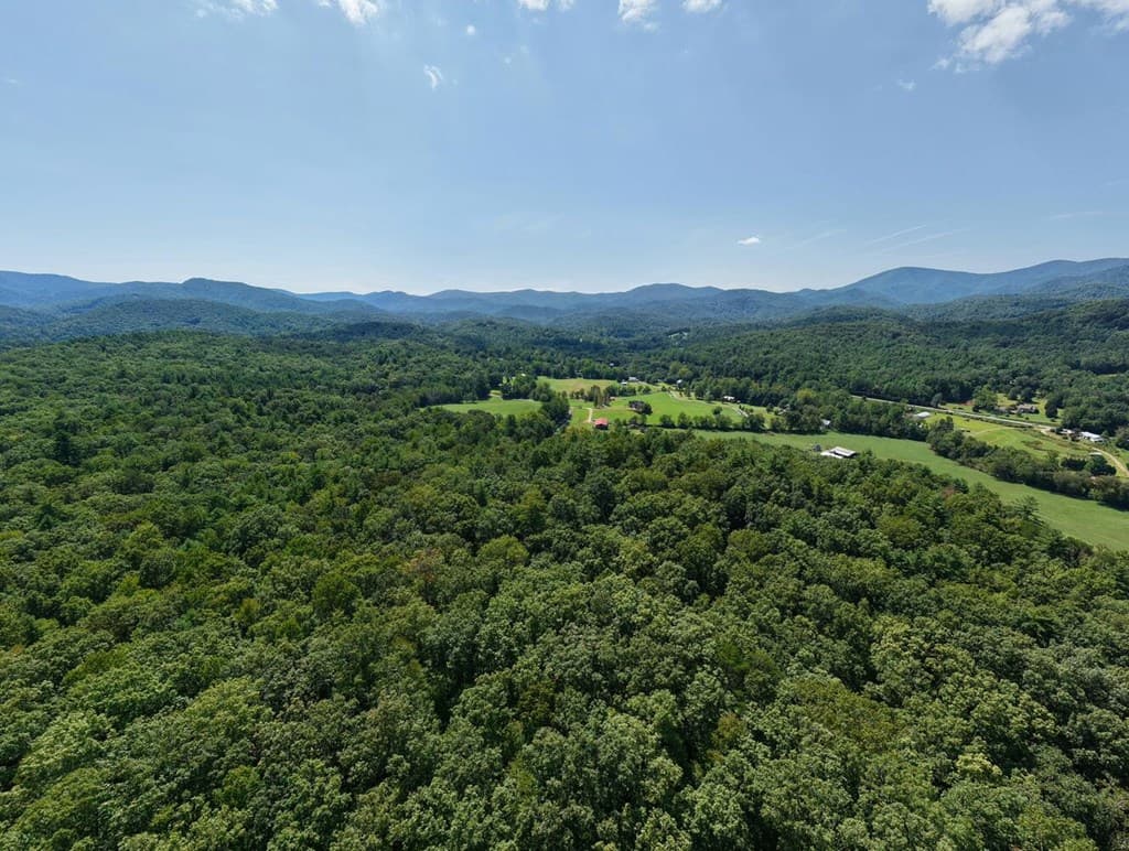 729 Collins Road, Blairsville GA 30512 - Photo