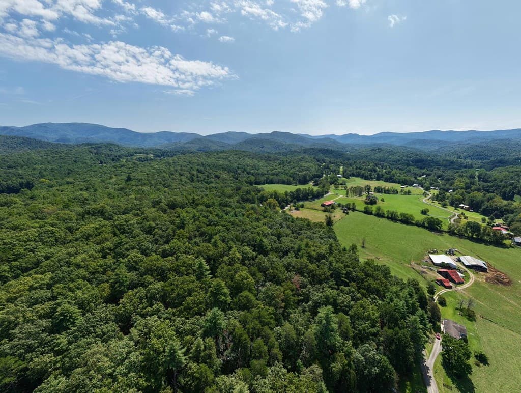 729 Collins Road, Blairsville GA 30512 - Photo