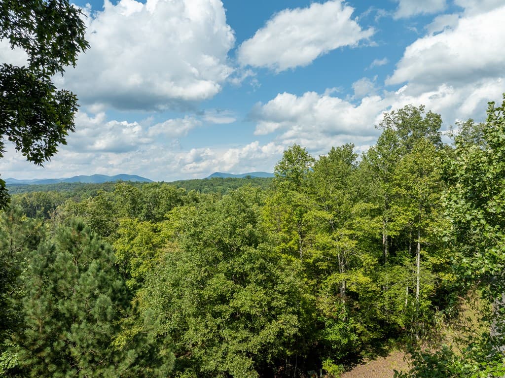 77 Souther Mill Overlook, Blairsville GA 30512 - Photo