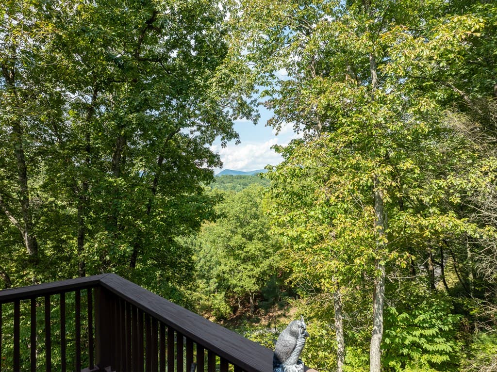 77 Souther Mill Overlook, Blairsville GA 30512 - Photo