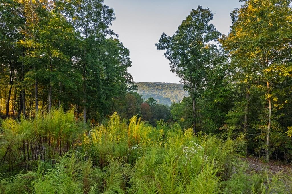 Lot 290 Anglers Ridge Road, Talking Rock GA 30175 - Primary photo