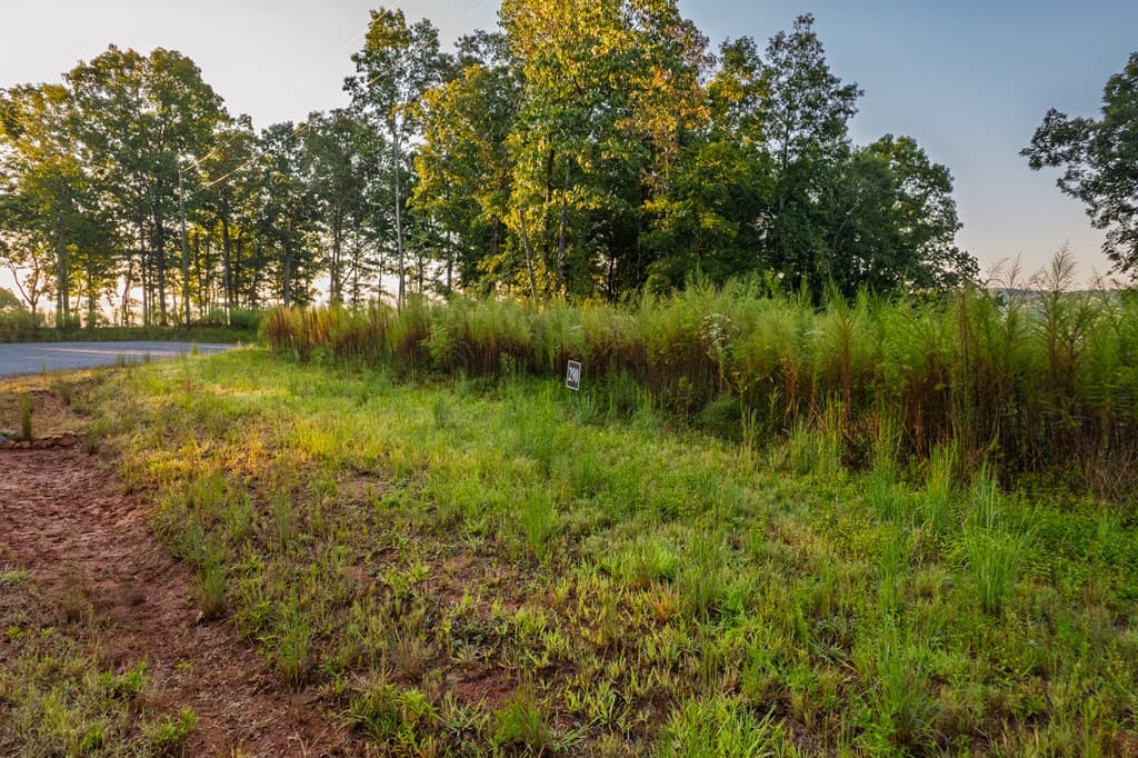 Lot 290 Anglers Ridge Road, Talking Rock GA 30175 - Photo