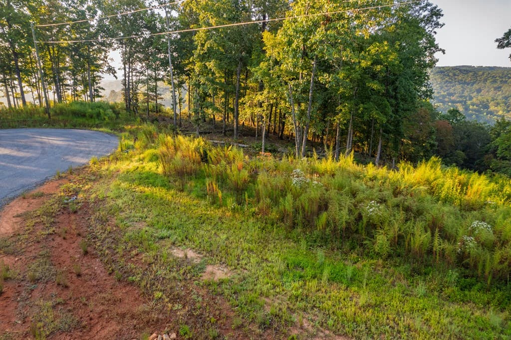 Lot 290 Anglers Ridge Road, Talking Rock GA 30175 - Photo