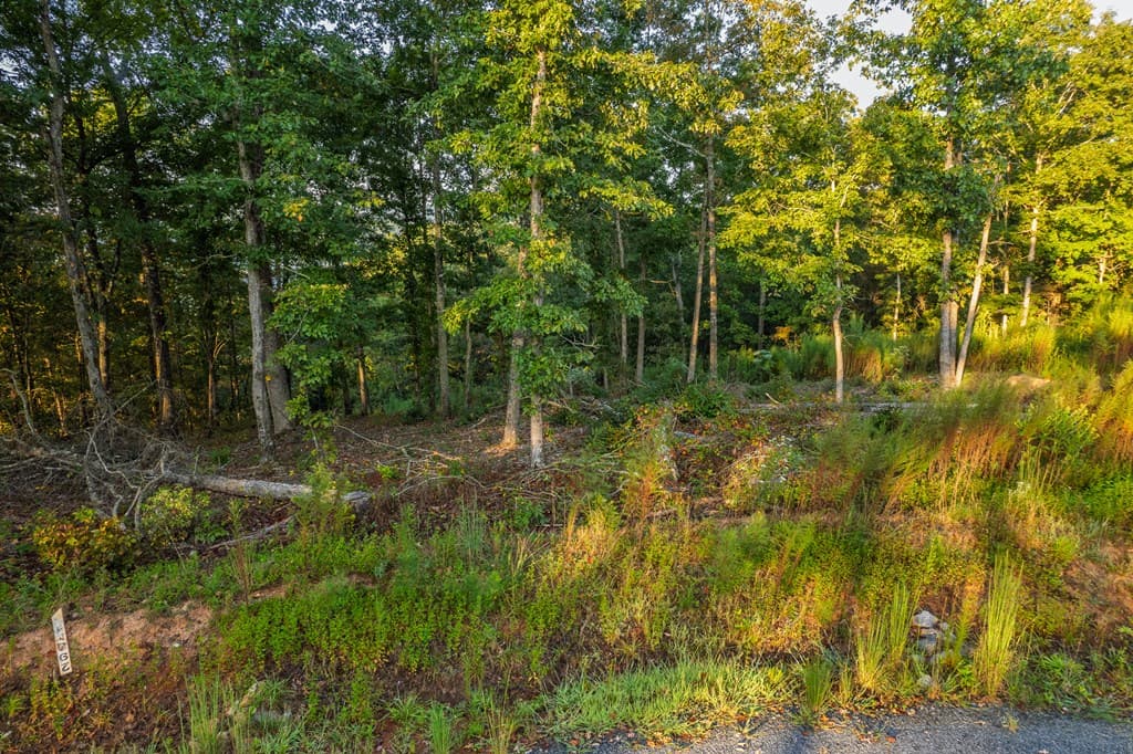 Lot 290 Anglers Ridge Road, Talking Rock GA 30175 - Photo