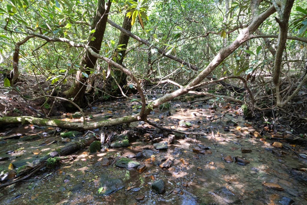26.98 Ac Tusquittee, Hayesville NC 28904 - Photo