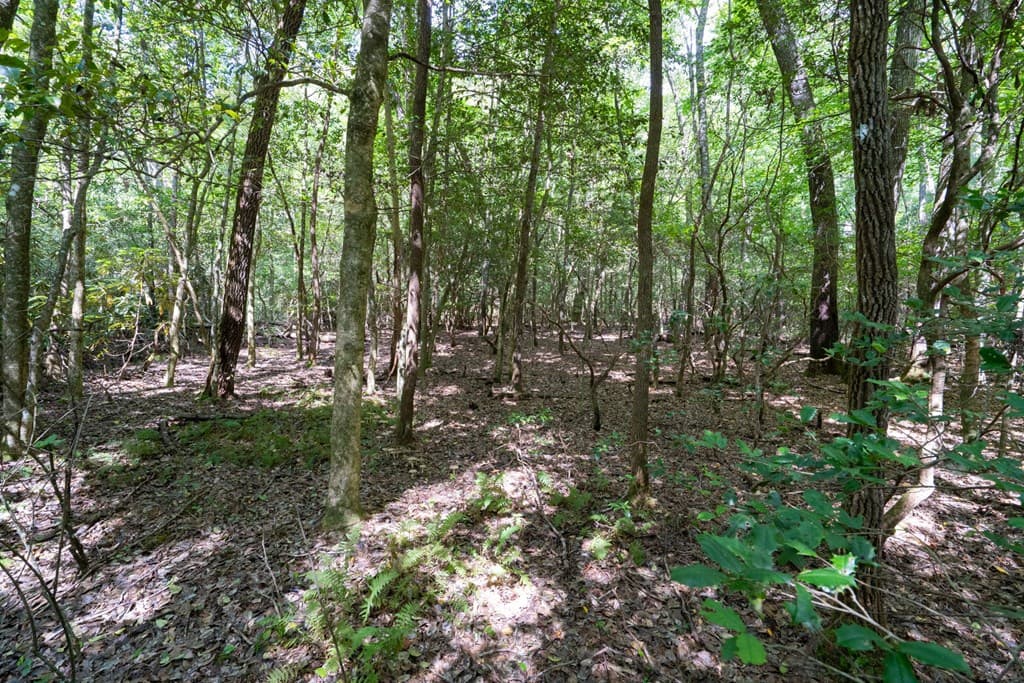 26.98 Ac Tusquittee, Hayesville NC 28904 - Photo