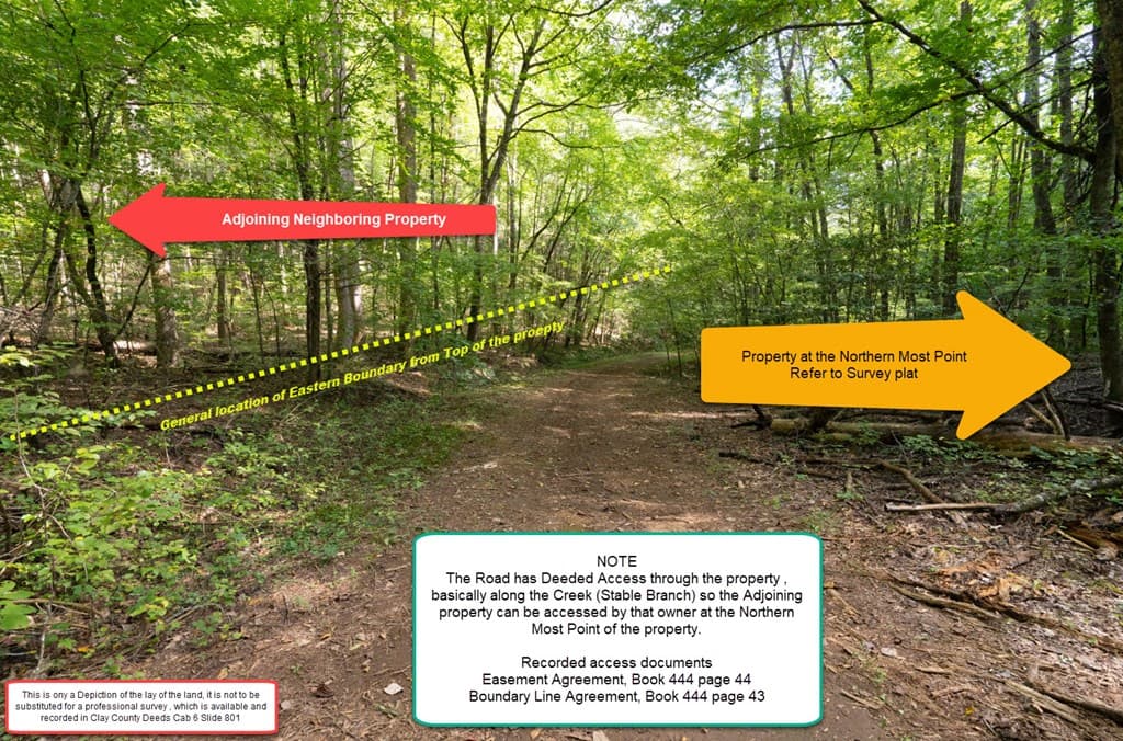 26.98 Ac Tusquittee, Hayesville NC 28904 - Photo