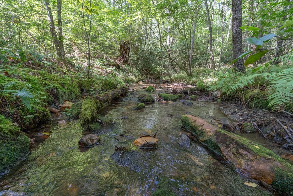 26.98 Ac Tusquittee, Hayesville NC 28904 - Photo