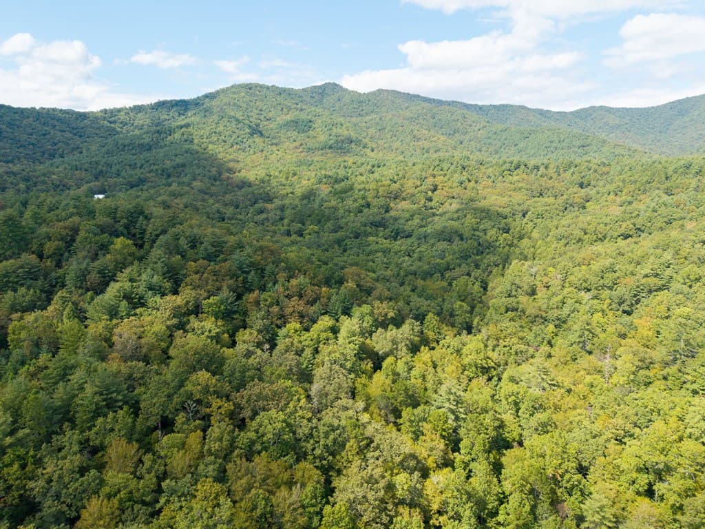 26.98 Ac Tusquittee, Hayesville NC 28904 - Photo