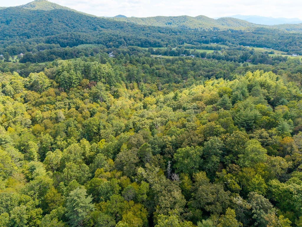 26.98 Ac Tusquittee, Hayesville NC 28904 - Photo