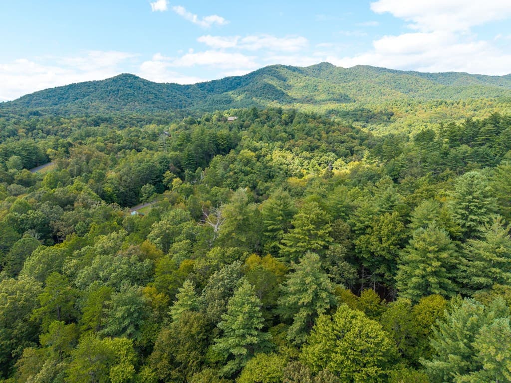 26.98 Ac Tusquittee, Hayesville NC 28904 - Photo