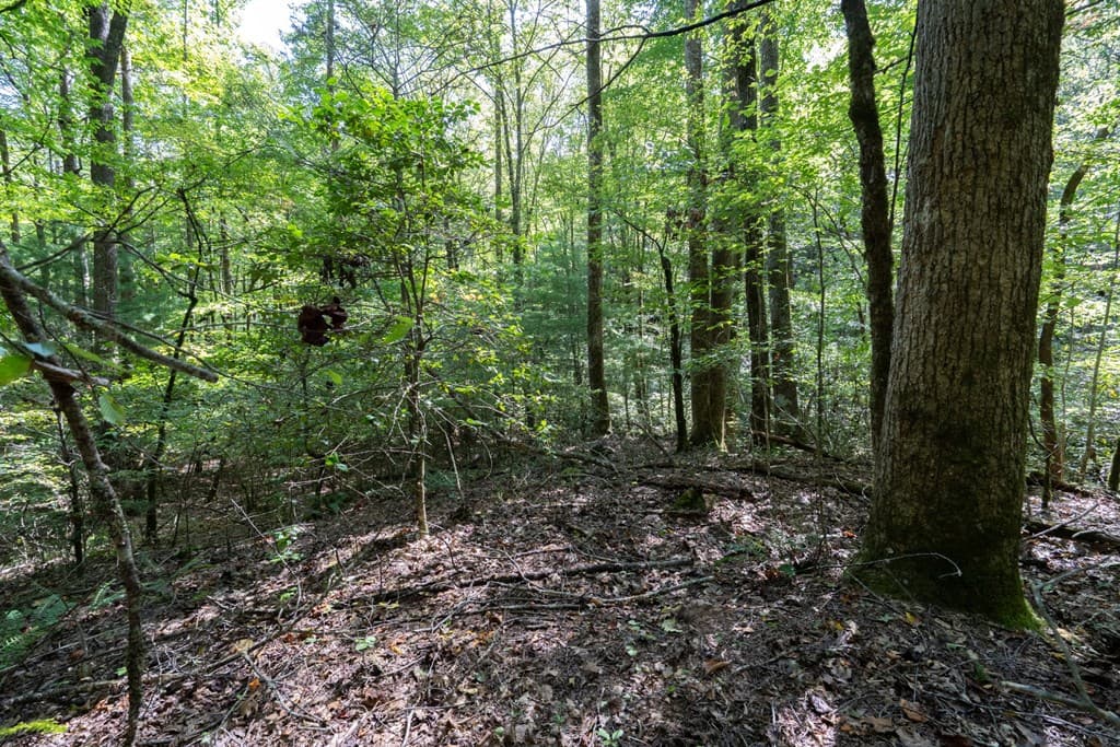 26.98 Ac Tusquittee, Hayesville NC 28904 - Photo