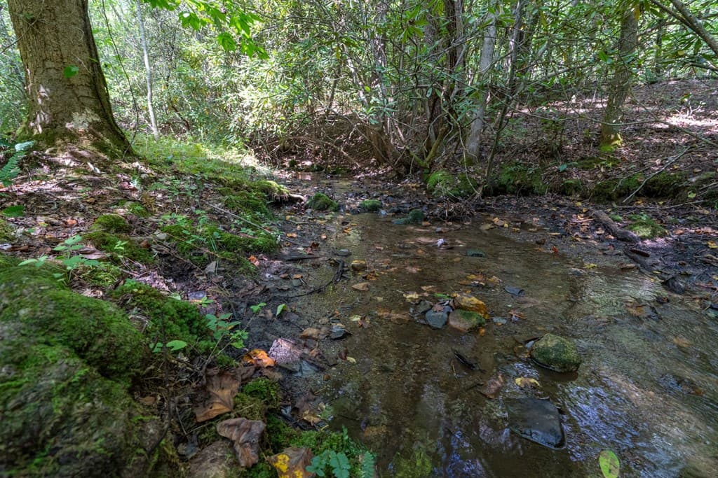 26.98 Ac Tusquittee, Hayesville NC 28904 - Photo