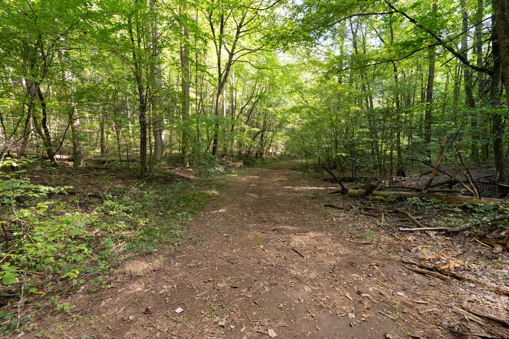 26.98 Ac Tusquittee, Hayesville NC 28904 - Photo