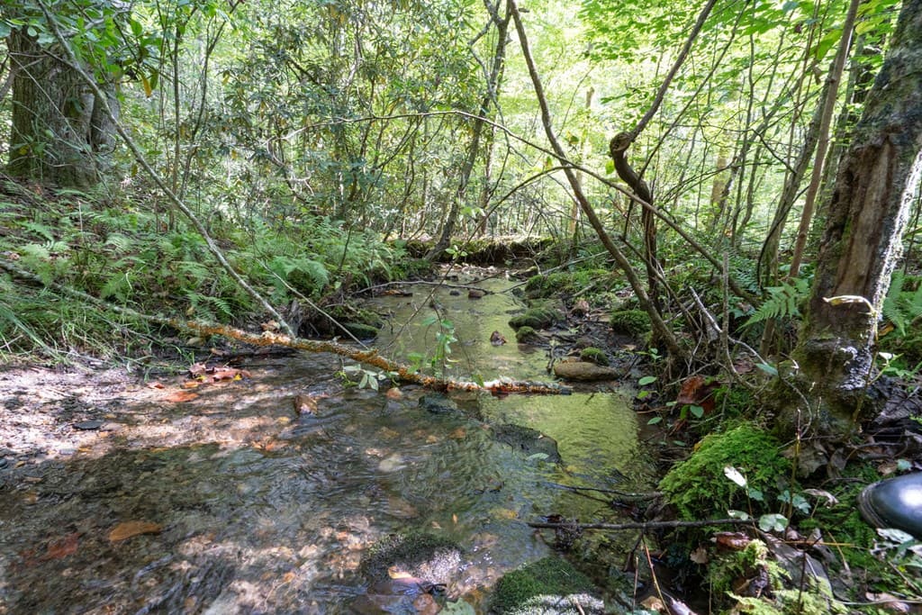 26.98 Ac Tusquittee, Hayesville NC 28904 - Photo