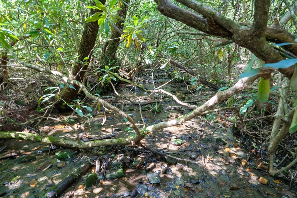 26.98 Ac Tusquittee, Hayesville NC 28904 - Photo
