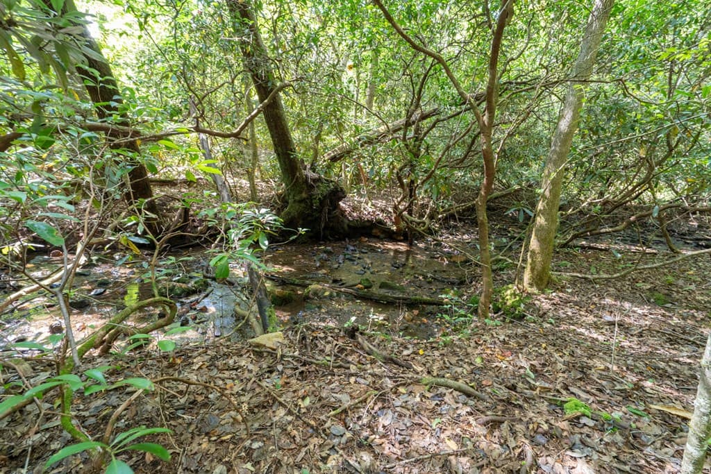 26.98 Ac Tusquittee, Hayesville NC 28904 - Photo