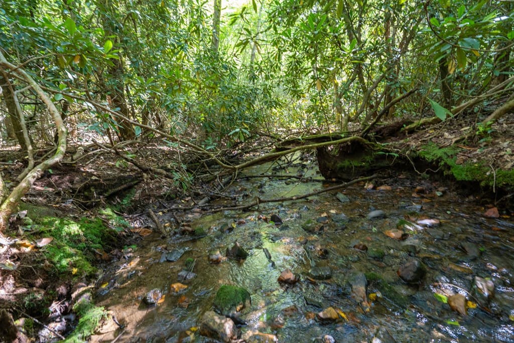 26.98 Ac Tusquittee, Hayesville NC 28904 - Photo