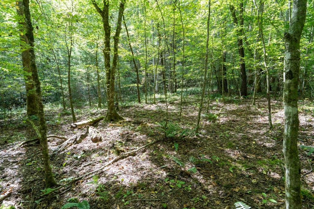 26.98 Ac Tusquittee, Hayesville NC 28904 - Photo
