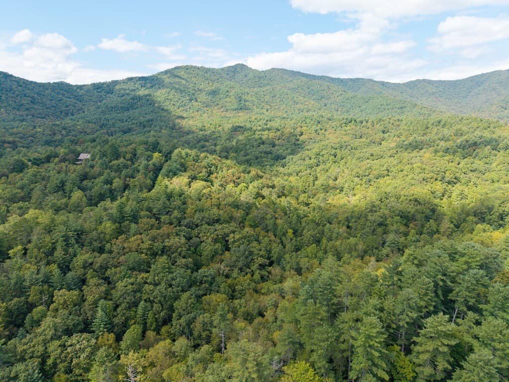 26.98 Ac Tusquittee, Hayesville NC 28904 - Photo