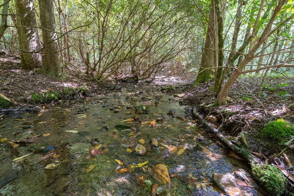 26.98 Ac Tusquittee, Hayesville NC 28904 - Photo