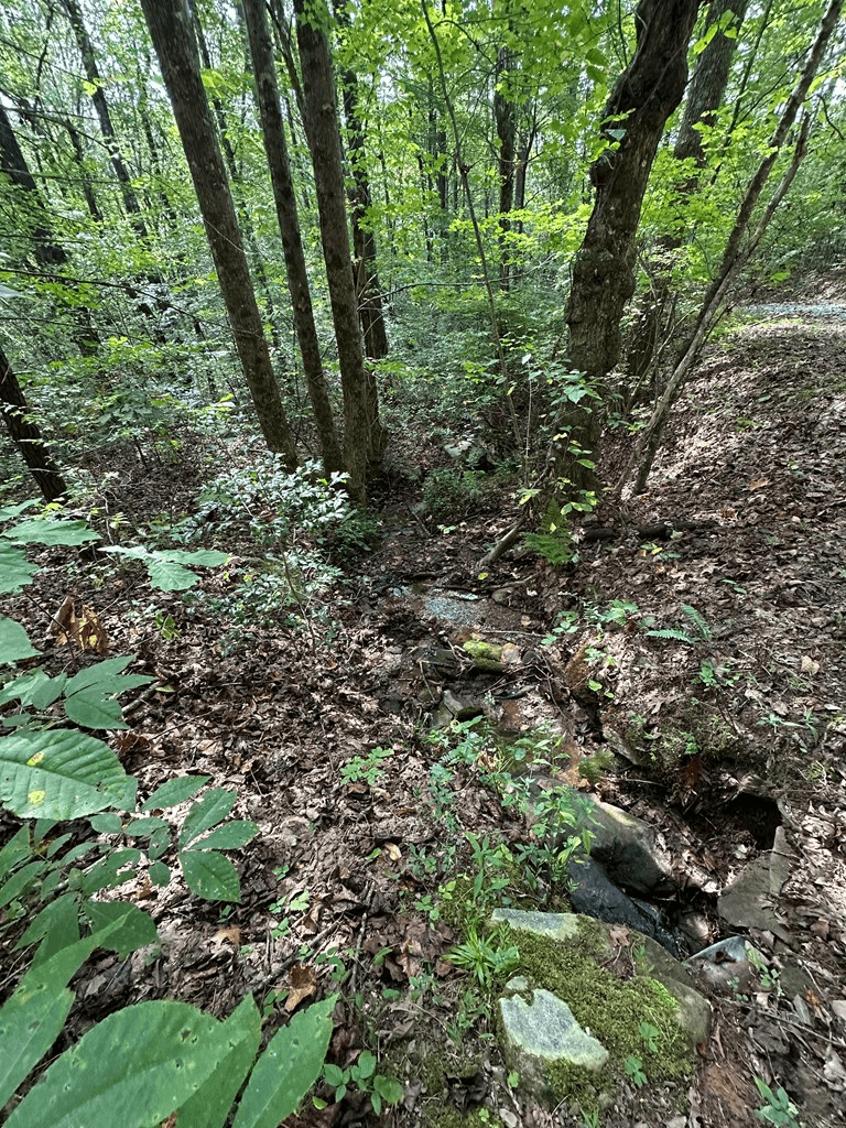 Tr 1 Burning Ember, Murphy NC 28906 - Photo