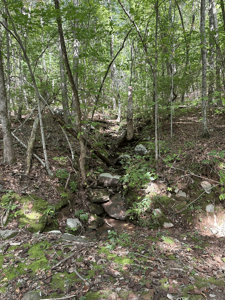Tr 1 Burning Ember, Murphy NC 28906 - Photo