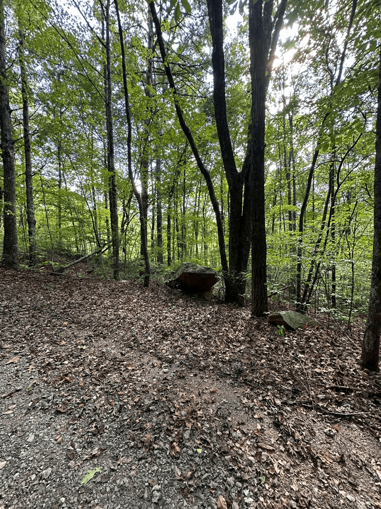 Tr 1 Burning Ember, Murphy NC 28906 - Photo