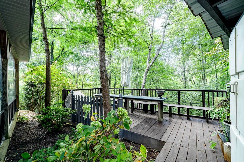 540 Young Cane Creek Road, Blairsville GA 30512 - Photo