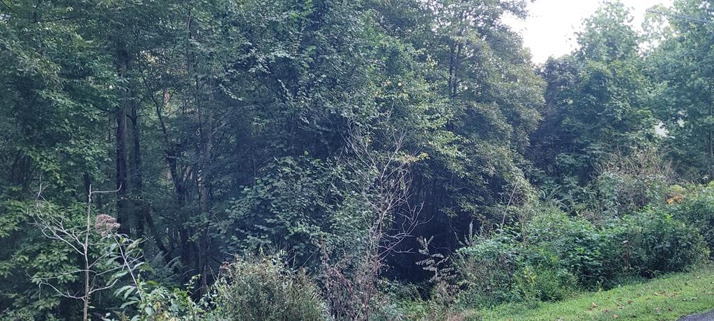 0 Chatuge Village Drive, Hayesville NC 28904 - Primary photo
