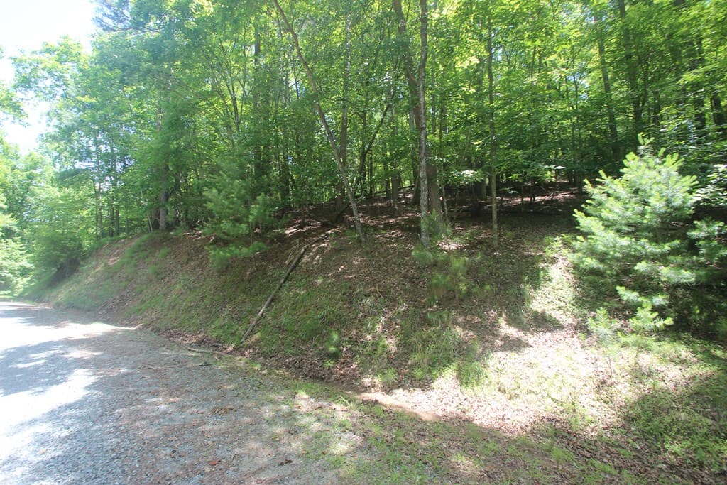 Lt 2628 Garnet Drive, Ellijay GA 30540 - Photo