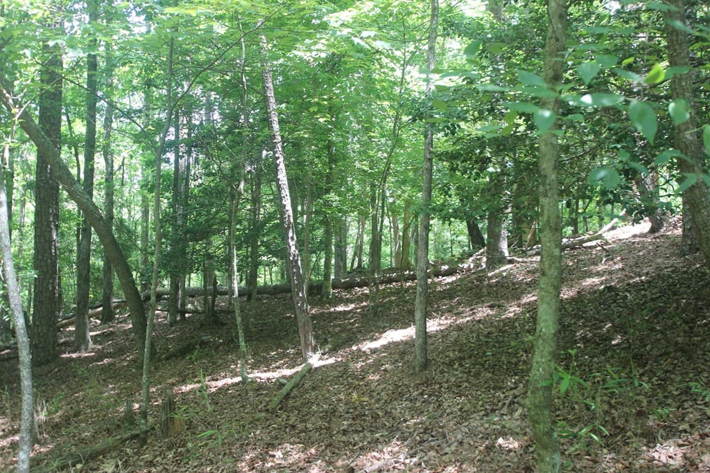 Lt 2628 Garnet Drive, Ellijay GA 30540 - Photo