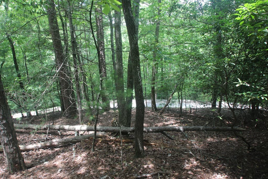 Lt 2628 Garnet Drive, Ellijay GA 30540 - Photo