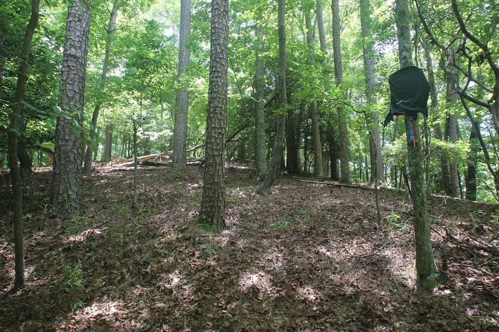 Lt 2628 Garnet Drive, Ellijay GA 30540 - Photo
