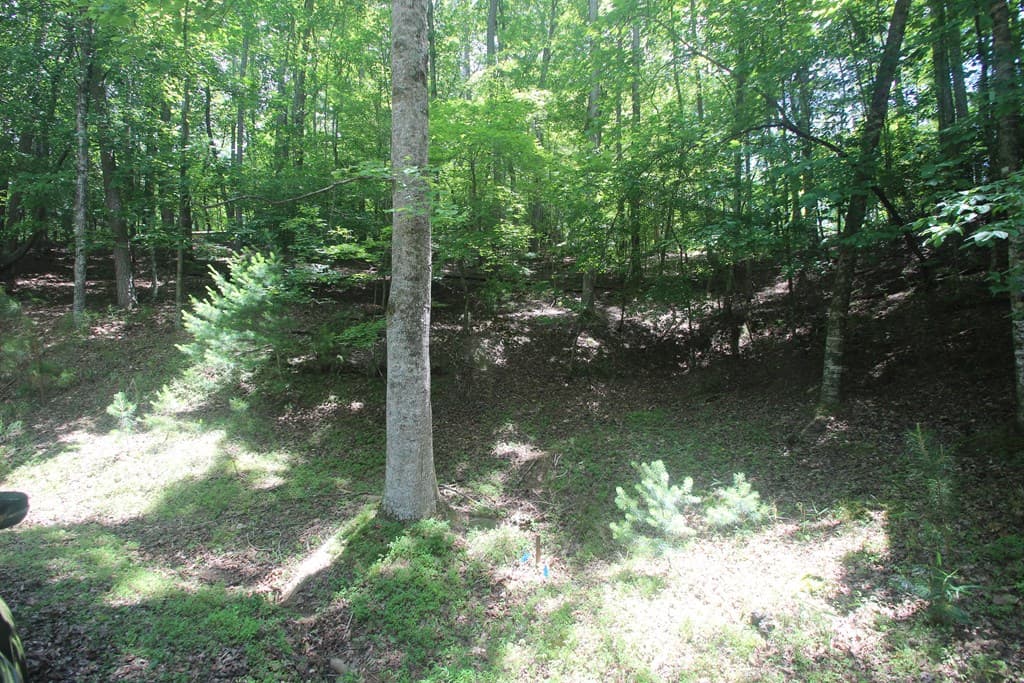 Lt 2628 Garnet Drive, Ellijay GA 30540 - Photo